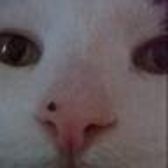 its_moyly